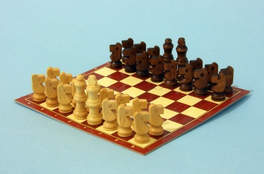 šodó chess figting