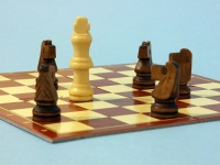 šodó chess figting