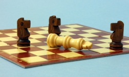 šodó chess figting